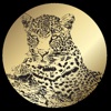 The Manifest Mastermind icon