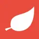 Lovevite 红叶故事 Chinese Dating