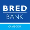 BRED Cambodia Business App Support