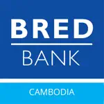 BRED Cambodia Business App Support