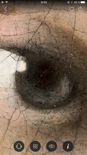 Second Canvas Mauritshuis screenshot 4