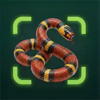Snake Identifier: Reptile AI