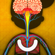 The Human Body: Learn Anatomy