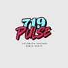 719 Pulse icon