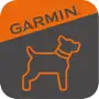 Garmin Alpha