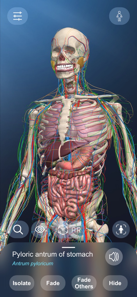 AR Anatomy - Education App | MWM