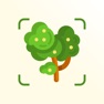 Get TreeID - Tree Identifier for iOS, iPhone, iPad Aso Report