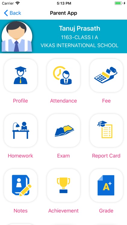 Vikas International School