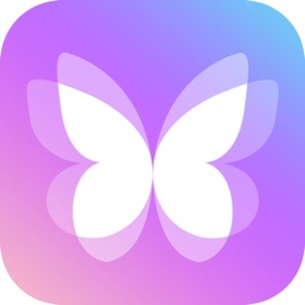 Dynamic Dash - Widget & Theme