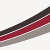 NetJets icon