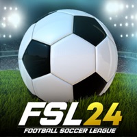 FSL24 League: Soccer Game 2024