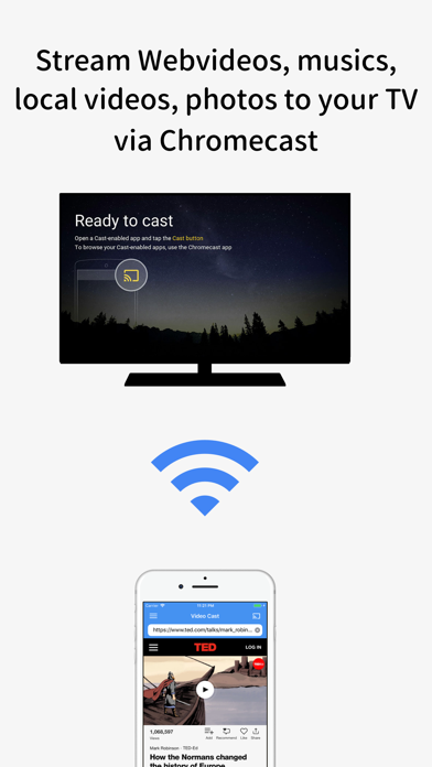 Video Stream for Chromecast Screenshot