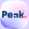Peak ERP icon