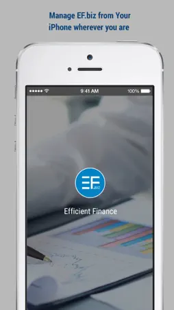 Efficient Finance screenshot 1