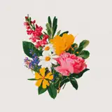 Florista Eventos - Stem - Ícone do app