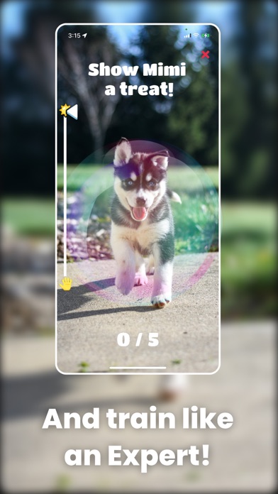 Train your Dog - Dognito Screenshot