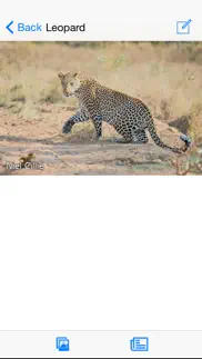 animals of kruger iphone images 1
