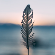 20 Minute Miracles