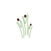 Sathwaa Nutrition icon