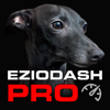 Peter Bornhall - EzioDashPro artwork