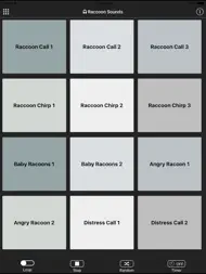 Raccoon Sounds ipad bilder 0