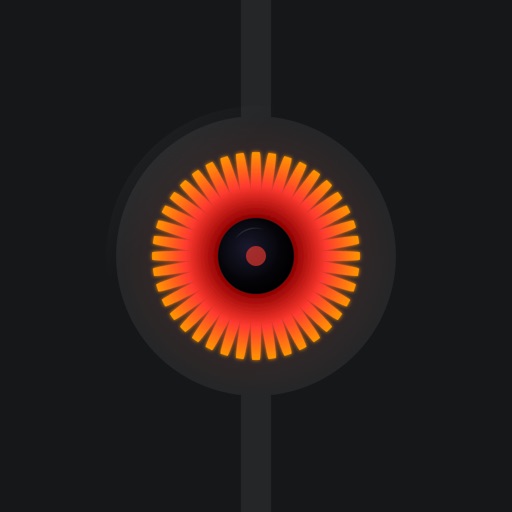 TCam Viewer