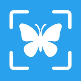 WingDex: Butterfly Identifier