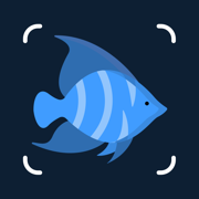 Identificar Peces con IA