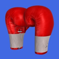 Boxing Trainer Punch Master