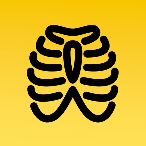 Chest X-ray Academy: Learn CXR