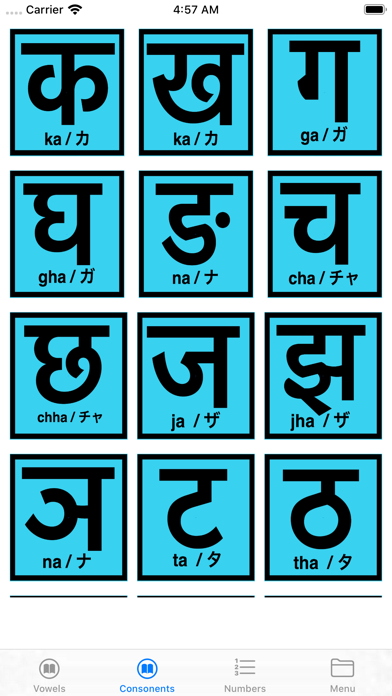 Screenshot #3 pour Nepali Phrase