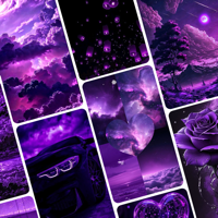 Purple Wallpapers 4K