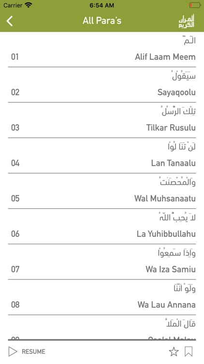Quraan-E-Karim (15 Lines) screenshot-3