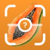 Fruit Identifier - Scanner ID app icon - Utilities app for iPhone