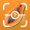 Unlock the sweet side of nature — simply snap a photo and discover any fruit's name, benefits, and origin