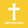 Get Amplified Bible - AMP for iOS, iPhone, iPad Aso Report