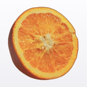 ~orange~