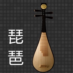 X琵琶调音器-专业版