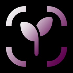 Flower Identifier - AI Scanner