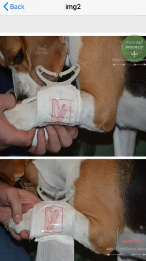 first aid for dogs PRO screenshot 3