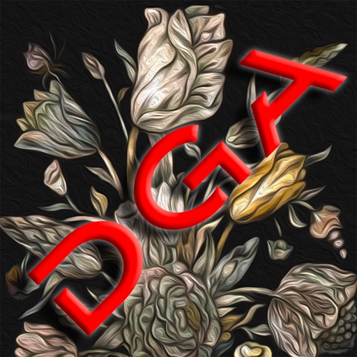 DutchArtMavens app icon