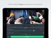 denoise - audio noise removal айпад изображения 1
