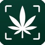 Get Cannabis Scan: THC & Kush for iOS, iPhone, iPad Aso Report