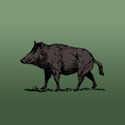 ‎Wild Hog Sounds