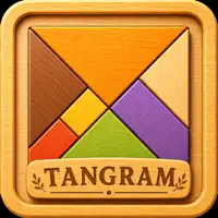 Tangram Brain Puzzle