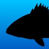 Fish Rules: Fishing App