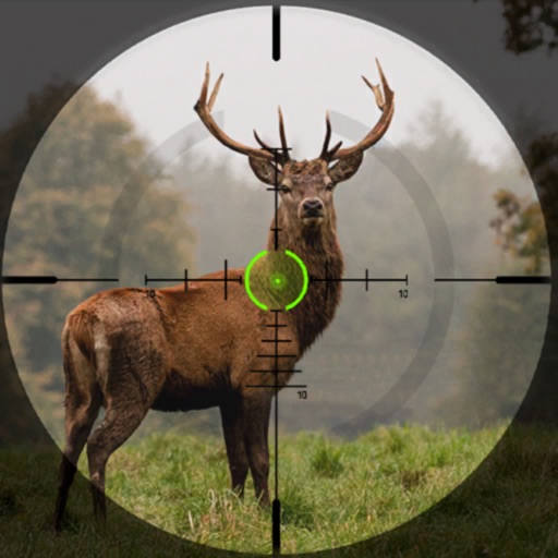 Wild Animal Deer Hunting Game