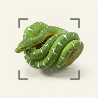 Snake ID: Snake Identifier