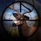 Get ready for an exciting hunting adventure with Animal Hunting Sniper Shooting