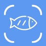 Get Fish ID - Identify & Info for iOS, iPhone, iPad Aso Report
